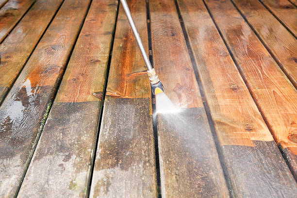 Best Animal Enclosure Cleaning  in Joanna, SC